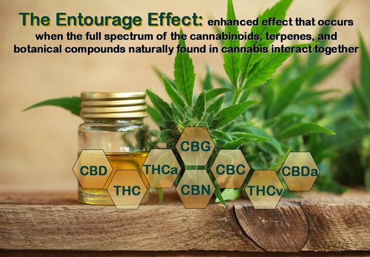 Full Spectrum CBD Entourage effect. Cannabinoids work together in an entourage effect